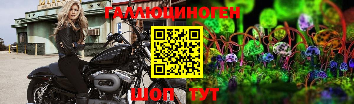 Псилоцибиновые грибы MAGIC MUSHROOMS Мыски